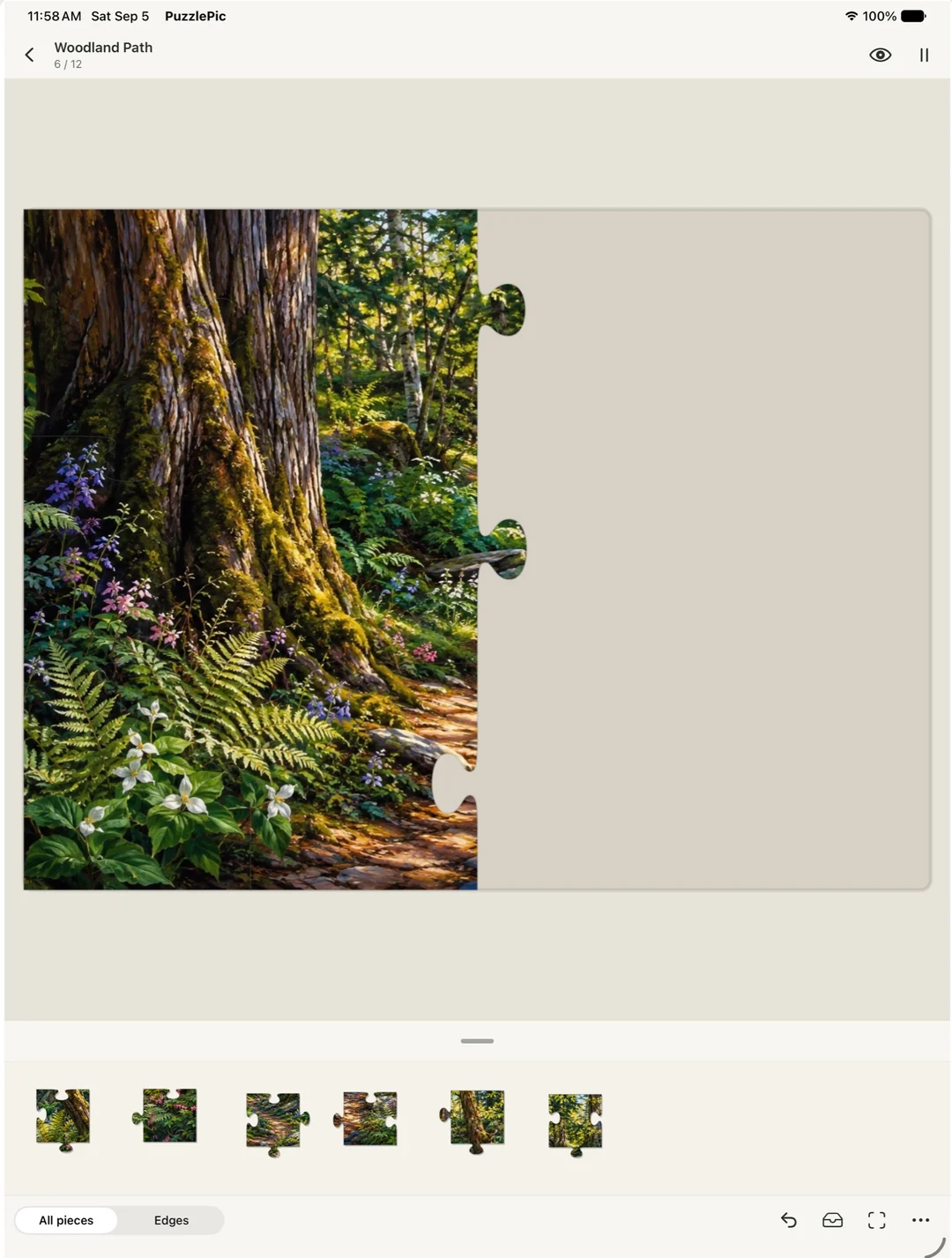 PuzzlePic on iPad: a Woodland Path jigsaw in progress.