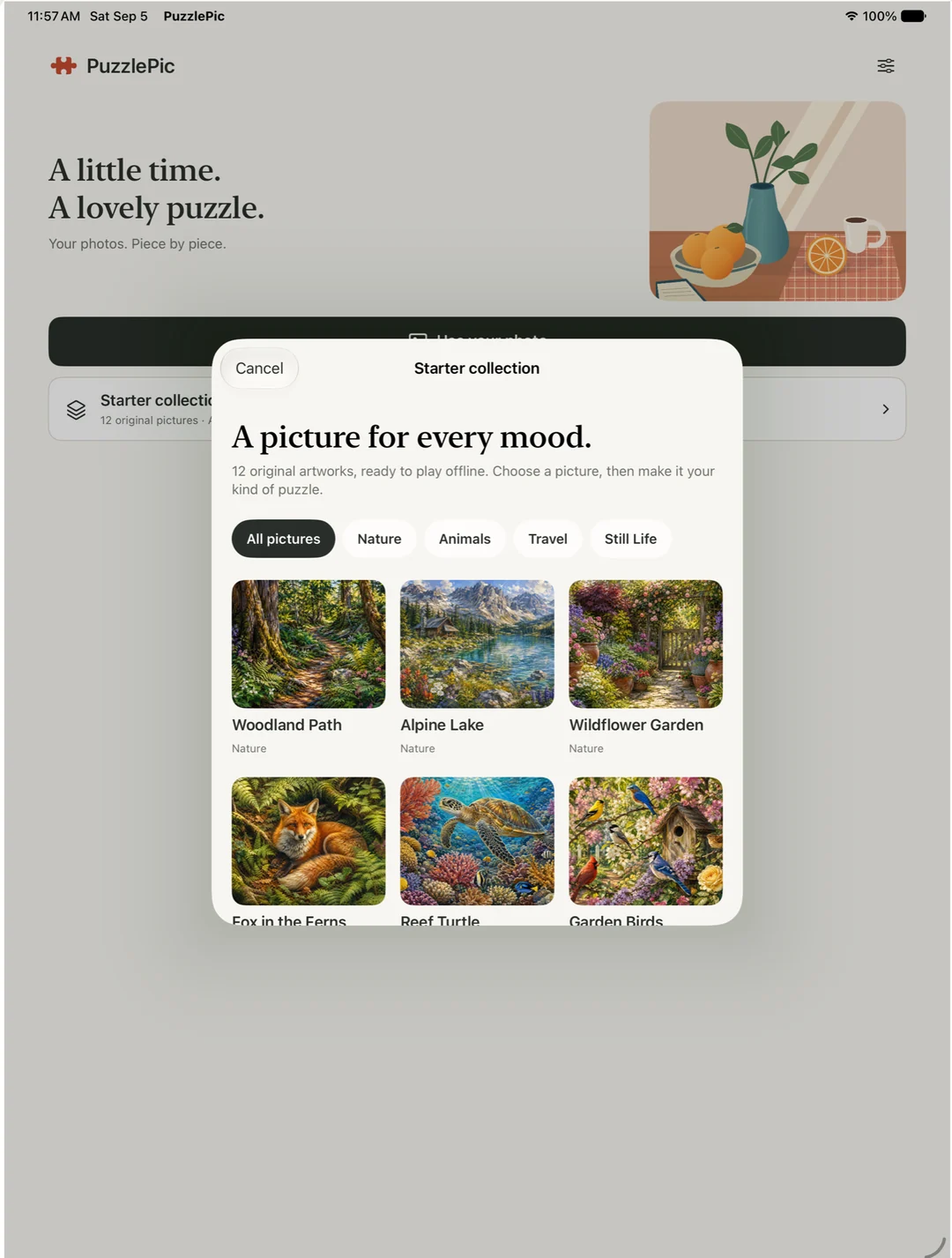 PuzzlePic starter collection with Nature, Animals, Travel, and Still Life categories.